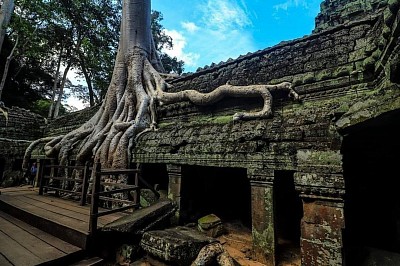 Ta Prohm